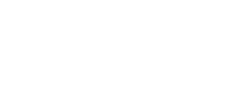 N1 Home logo
